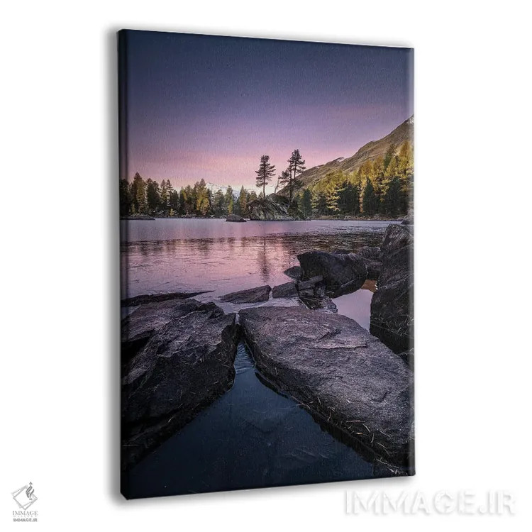 تابلو دکوراتیو یخ زده اثر فابیو آنتنور - نمای پرسپکتیو محصول