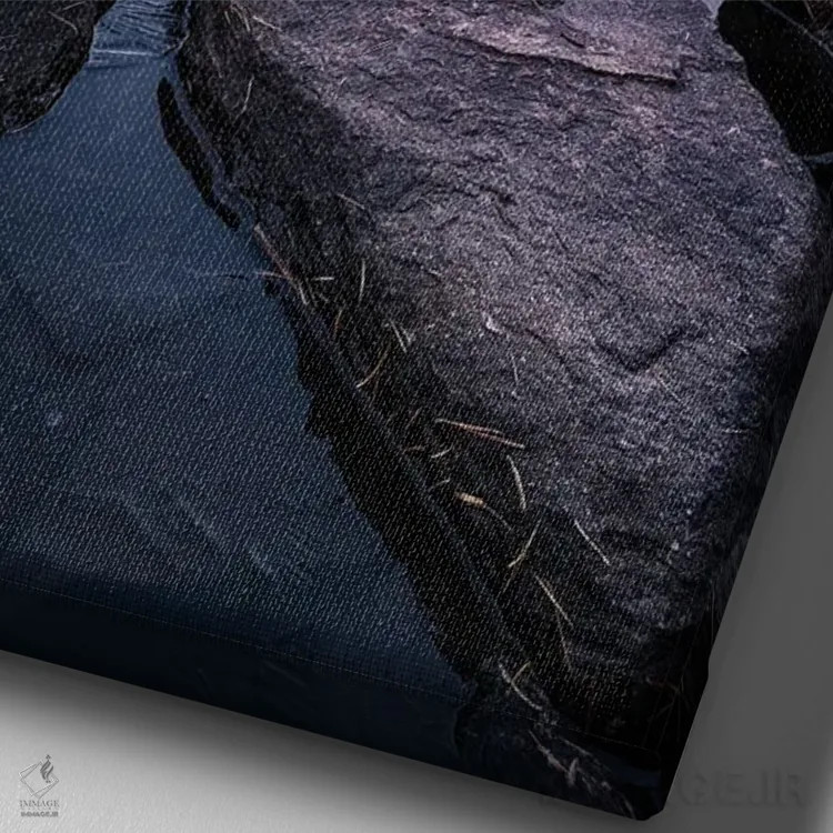 تابلو دکوراتیو یخ زده اثر فابیو آنتنور - نمای نزدیک بافت بوم