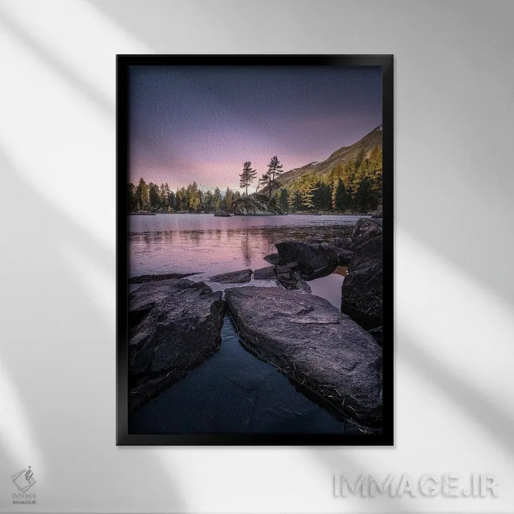 تابلو دکوراتیو یخ زده اثر فابیو آنتنور - نمای قابدار مشکی