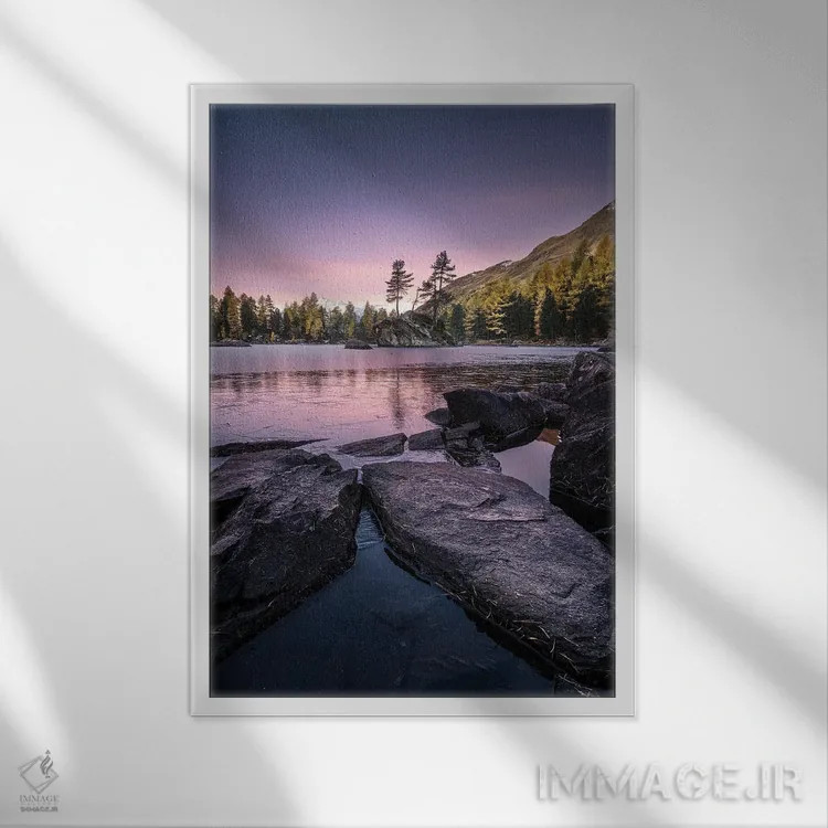 تابلو دکوراتیو یخ زده اثر فابیو آنتنور - نمای قابدار سفید