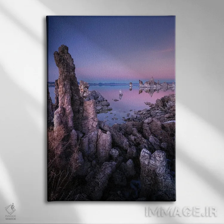 تابلو دکوراتیو تک رنگ اثر فابیو آنتنور - نمای روبهرو روی دیوار