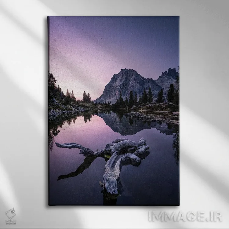 تابلو دکوراتیو بدون ماه اثر فابیو آنتنور - نمای روبهرو روی دیوار