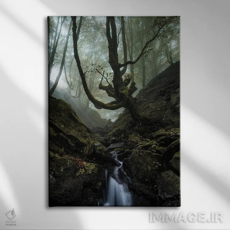 تابلو دکوراتیو جنگل اسرارآمیز اثر فابیو آنتنور - نمای روبهرو روی دیوار