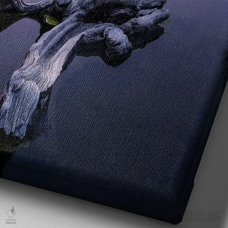 تابلو دکوراتیو بدون ماه اثر فابیو آنتنور - نمای نزدیک بافت بوم