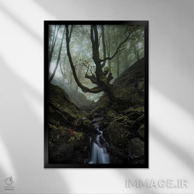 تابلو دکوراتیو جنگل اسرارآمیز اثر فابیو آنتنور - نمای قابدار مشکی