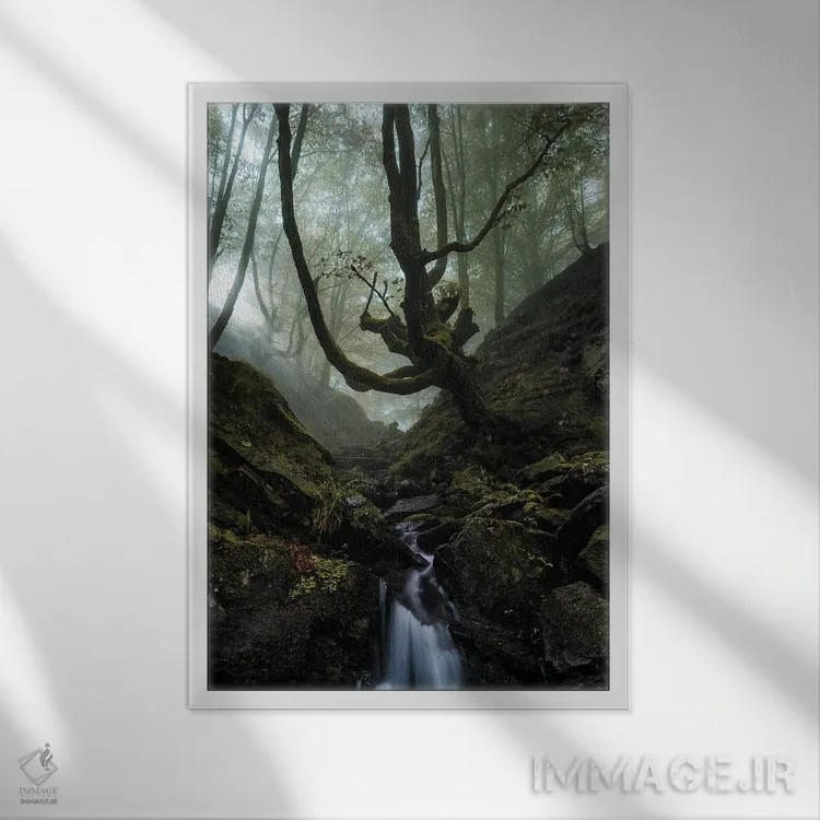 تابلو دکوراتیو جنگل اسرارآمیز اثر فابیو آنتنور - نمای قابدار سفید