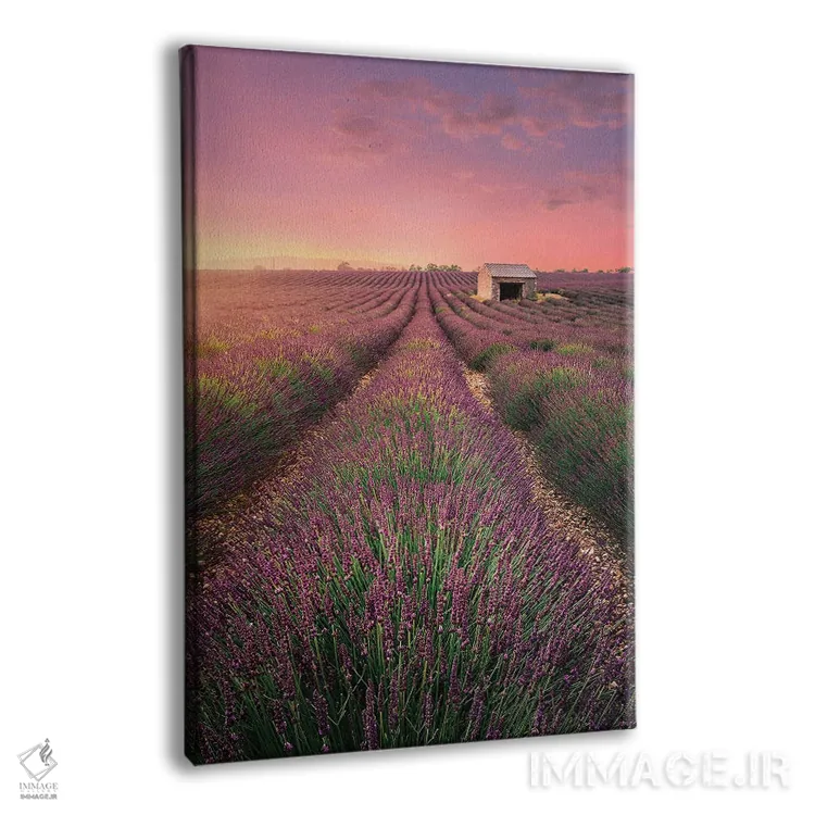 تابلو دکوراتیو خانه قدیمی اثر فابیو آنتنور - نمای پرسپکتیو محصول