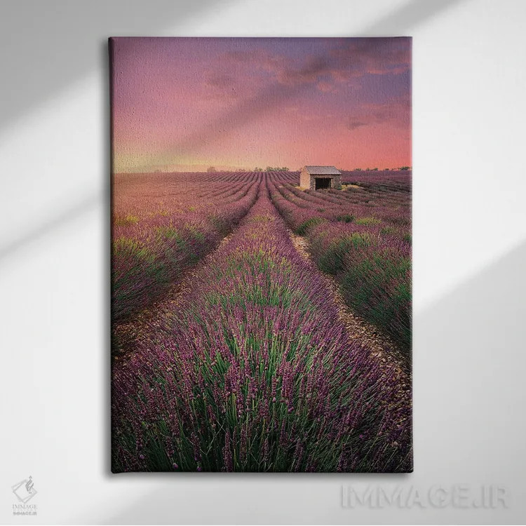 تابلو دکوراتیو خانه قدیمی اثر فابیو آنتنور - نمای روبهرو روی دیوار