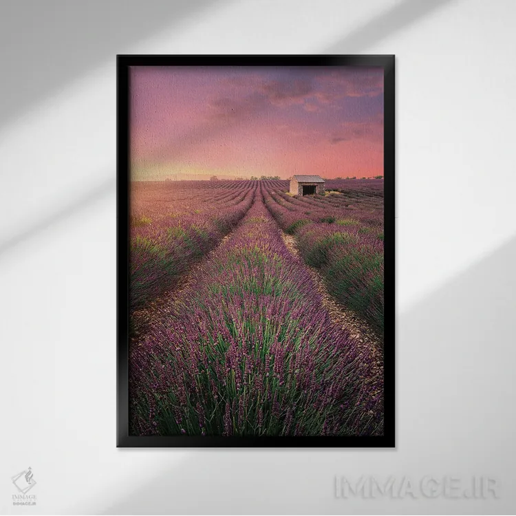 تابلو دکوراتیو خانه قدیمی اثر فابیو آنتنور - نمای قابدار مشکی