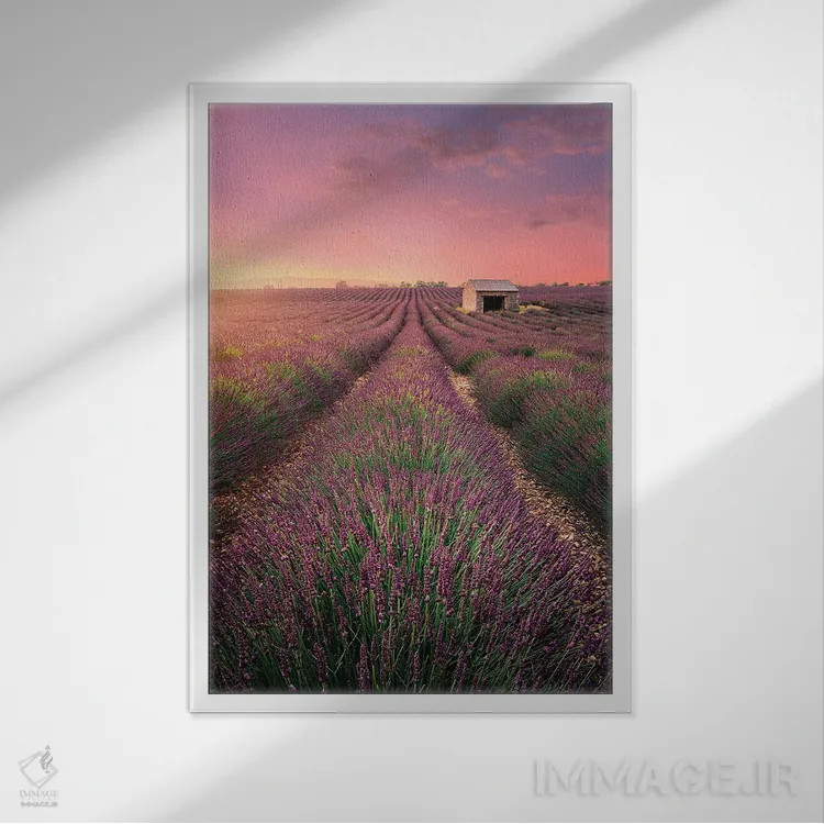 تابلو دکوراتیو خانه قدیمی اثر فابیو آنتنور - نمای قابدار سفید