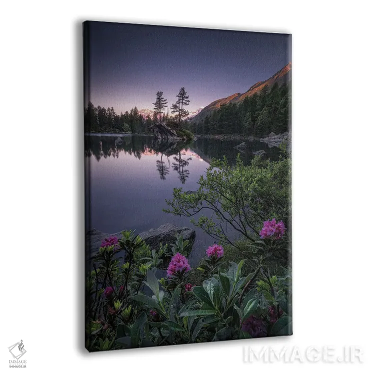 تابلو دکوراتیو سائوسئو ۲۰ اثر فابیو آنتنور - نمای پرسپکتیو محصول