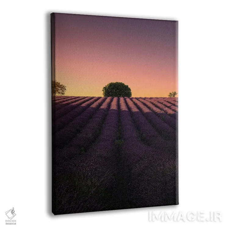 تابلو دکوراتیو دایره ای اثر فابیو آنتنور - نمای پرسپکتیو محصول