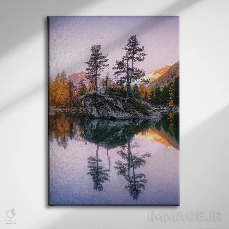 تابلو دکوراتیو نزدیک سائوسئو اثر فابیو آنتنور - نمای روبهرو روی دیوار