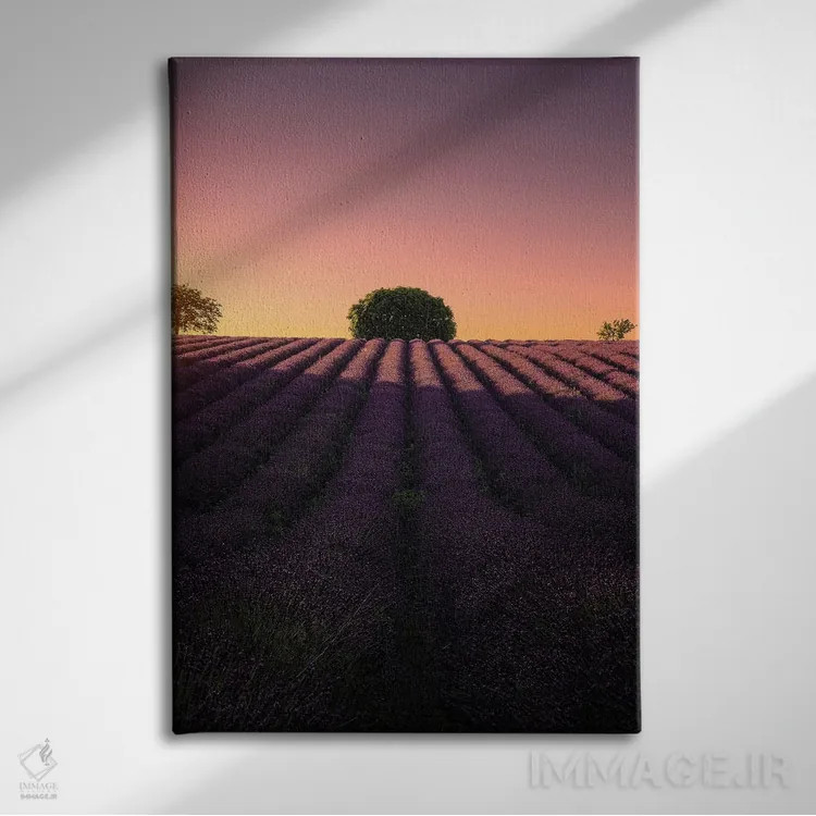 تابلو دکوراتیو دایره ای اثر فابیو آنتنور - نمای روبهرو روی دیوار