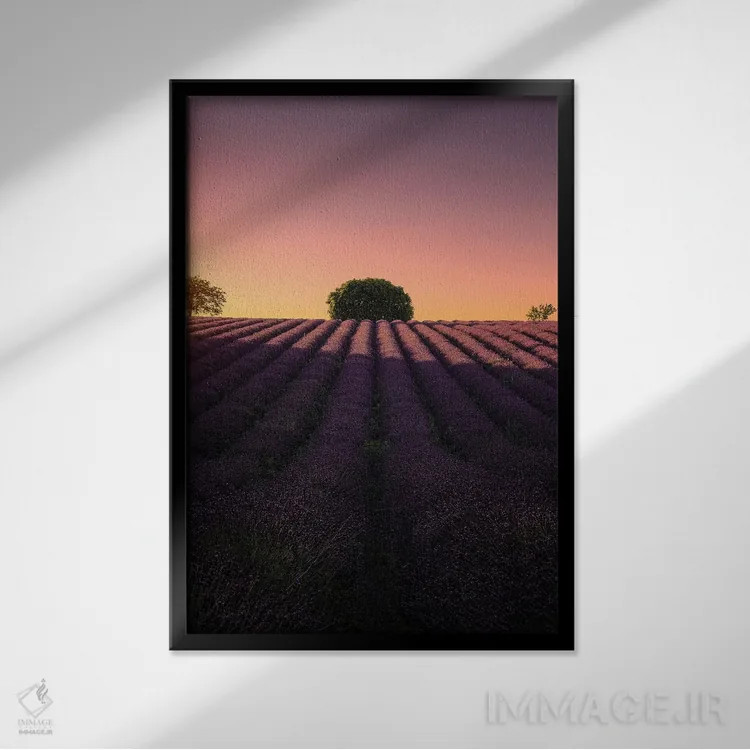 تابلو دکوراتیو دایره ای اثر فابیو آنتنور - نمای قابدار مشکی