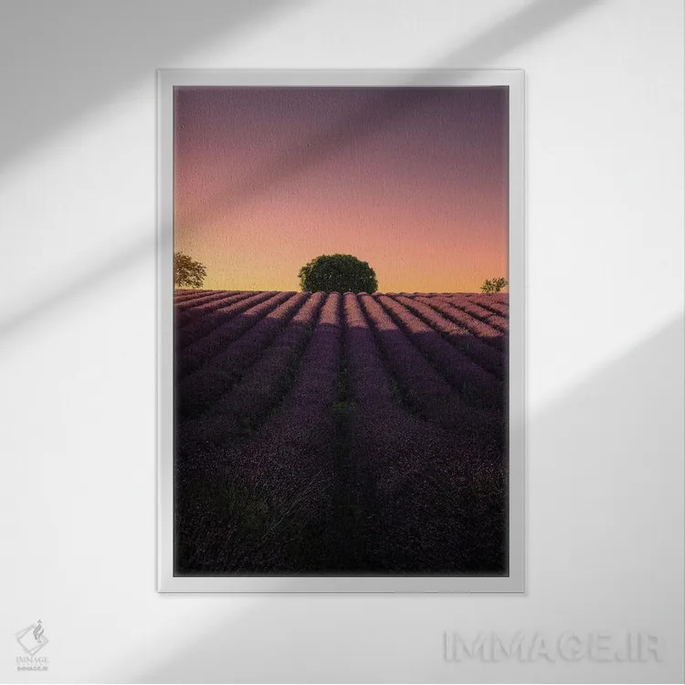 تابلو دکوراتیو دایره ای اثر فابیو آنتنور - نمای قابدار سفید