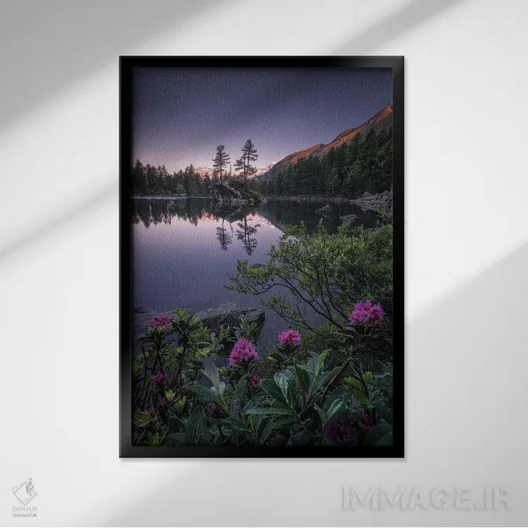 تابلو دکوراتیو سائوسئو ۲۰ اثر فابیو آنتنور - نمای قابدار مشکی