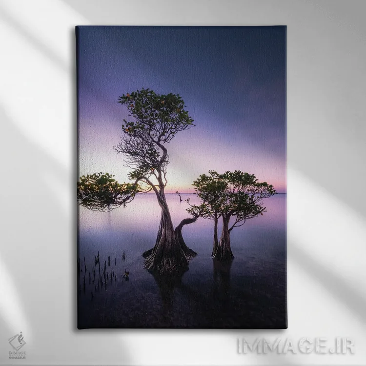 تابلو دکوراتیو سومبا اثر فابیو آنتنور - نمای روبهرو روی دیوار