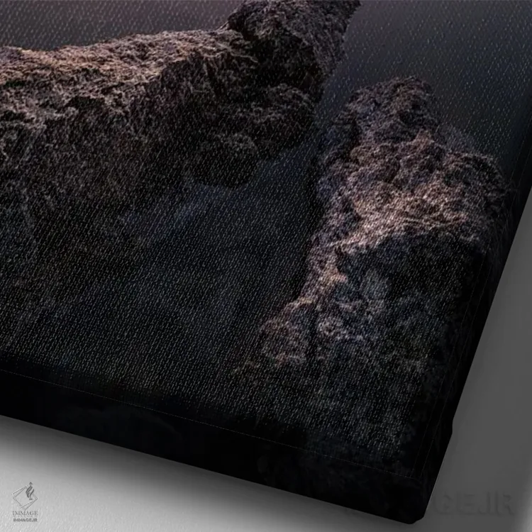 تابلو دکوراتیو استریو اثر فابیو آنتنور - نمای نزدیک بافت بوم