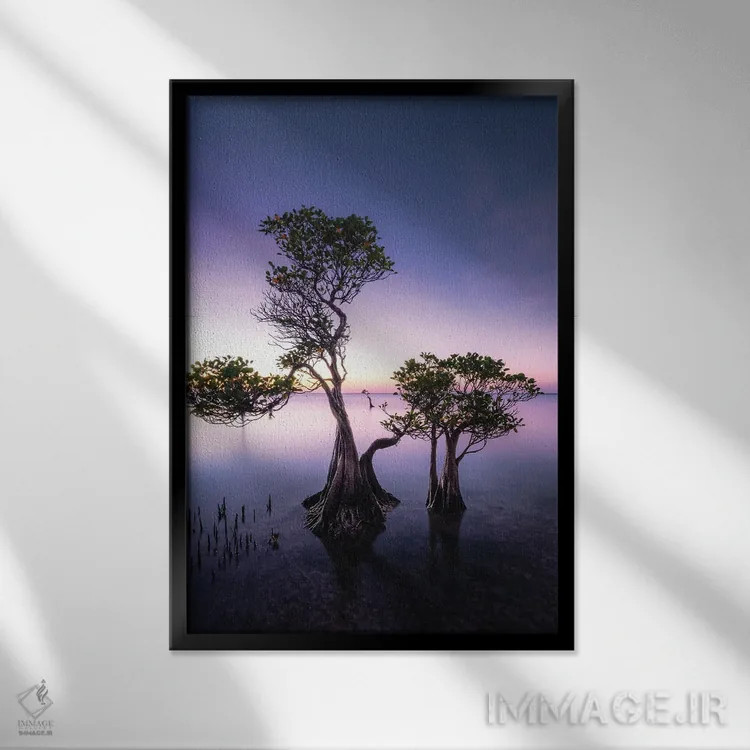 تابلو دکوراتیو سومبا اثر فابیو آنتنور - نمای قابدار مشکی