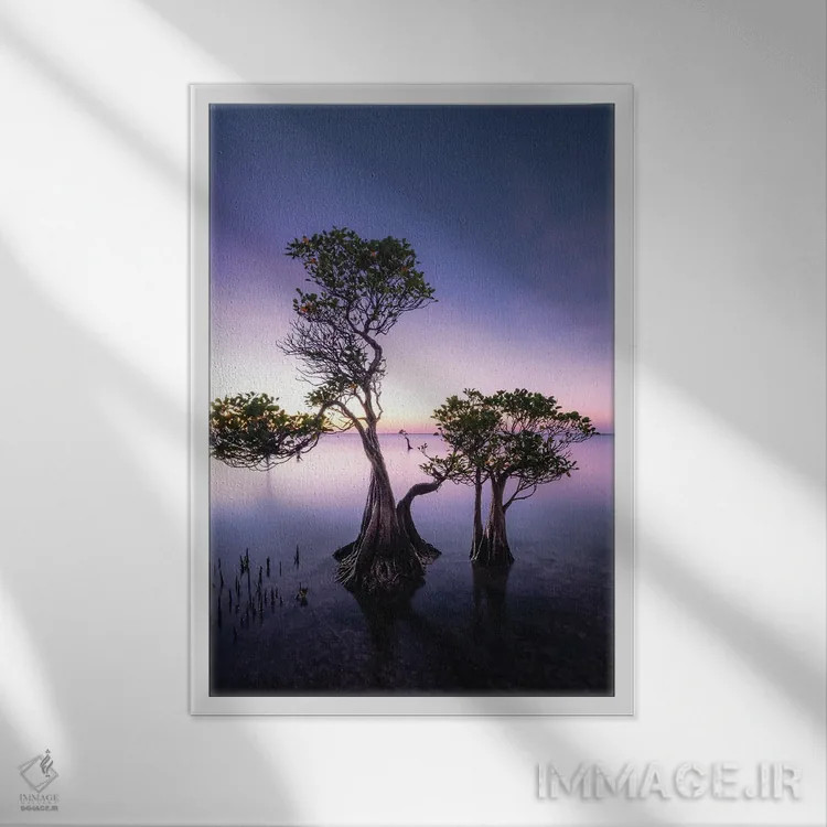 تابلو دکوراتیو سومبا اثر فابیو آنتنور - نمای قابدار سفید