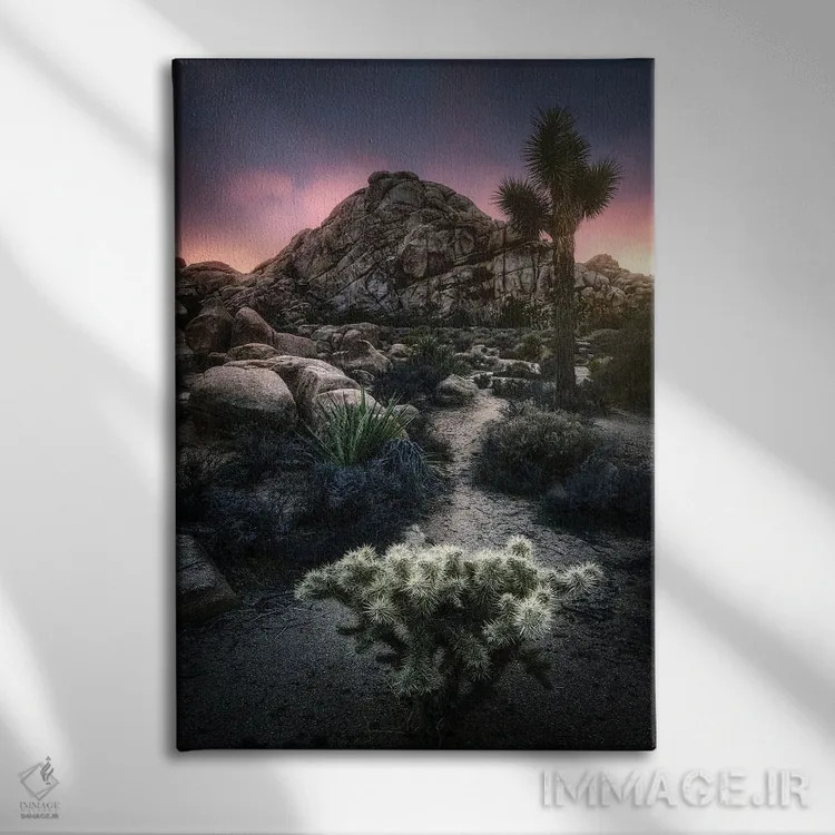 تابلو دکوراتیو کاکتوس و صخره اثر فابیو آنتنور - نمای روبهرو روی دیوار
