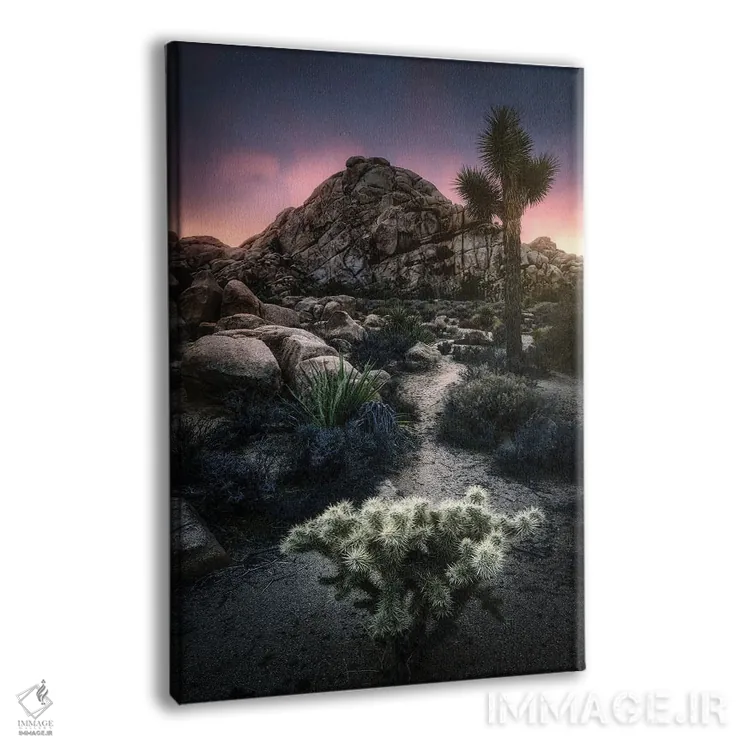 تابلو دکوراتیو کاکتوس و صخره اثر فابیو آنتنور - نمای پرسپکتیو محصول