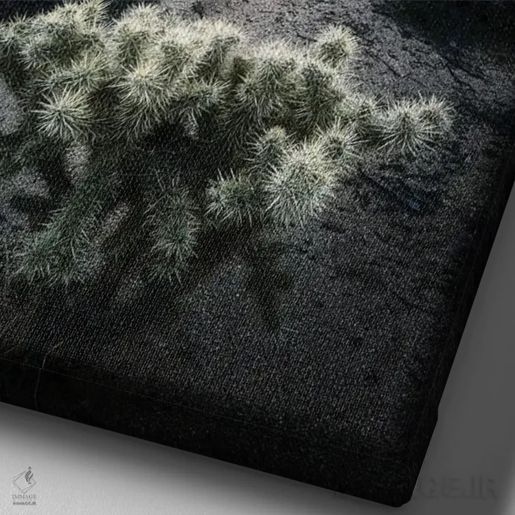 تابلو دکوراتیو کاکتوس و صخره اثر فابیو آنتنور - نمای نزدیک بافت بوم