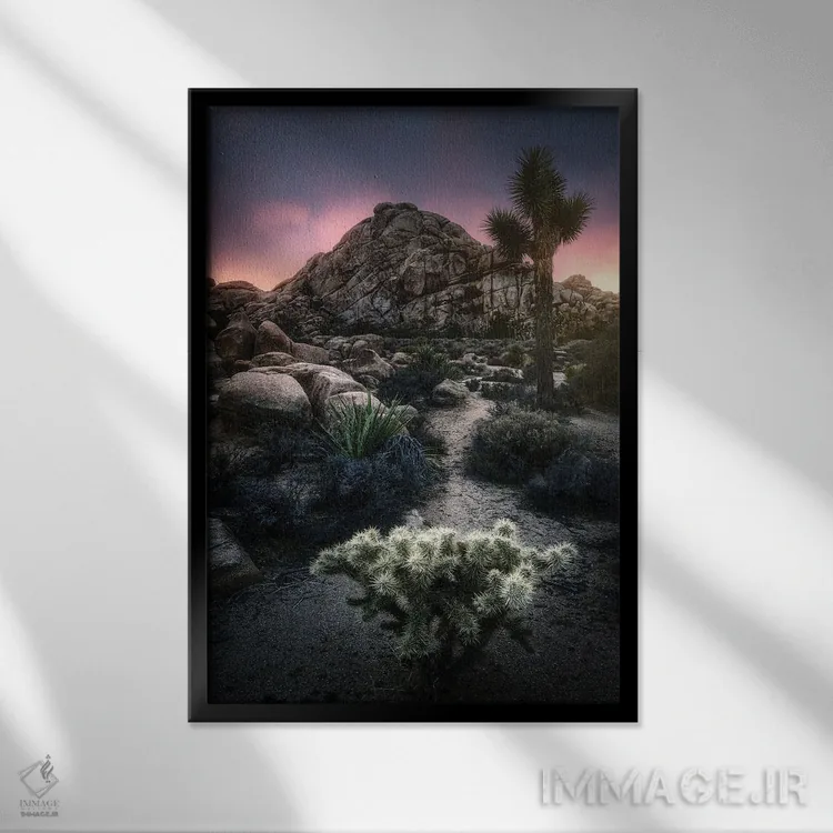 تابلو دکوراتیو کاکتوس و صخره اثر فابیو آنتنور - نمای قابدار مشکی