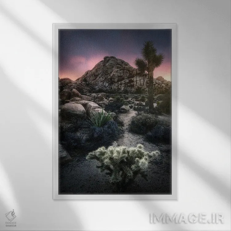 تابلو دکوراتیو کاکتوس و صخره اثر فابیو آنتنور - نمای قابدار سفید