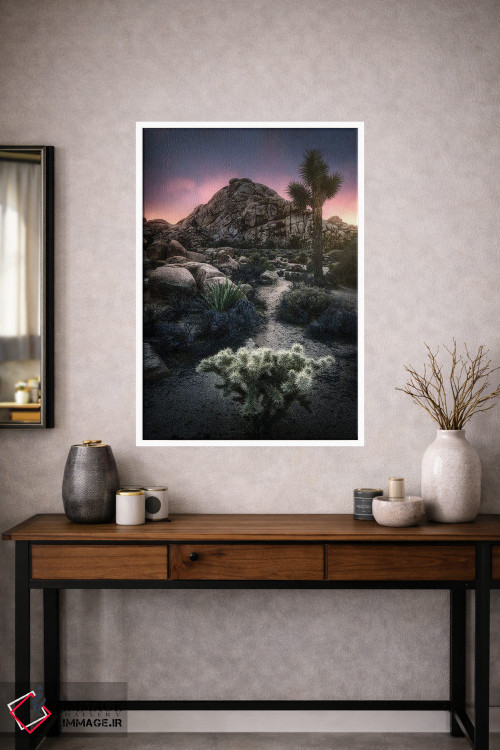 تابلو دکوراتیو کاکتوس و صخره اثر فابیو آنتنور - D1W