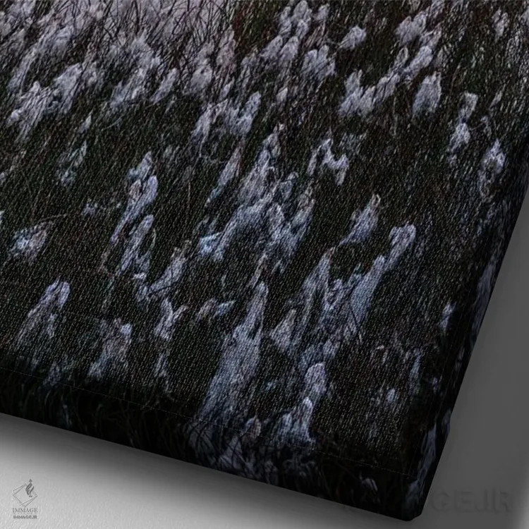 تابلو دکوراتیو آن نیرومند اثر فابیو آنتنور - نمای نزدیک بافت بوم