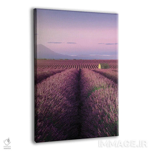 تابلو دکوراتیو تا بی نهایت اثر فابیو آنتنور - نمای پرسپکتیو محصول