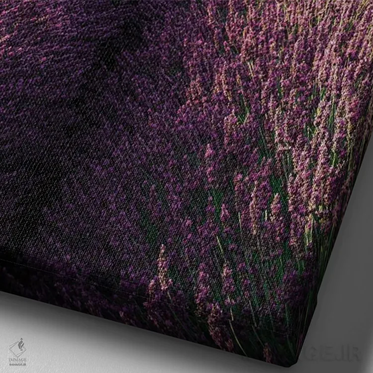 تابلو دکوراتیو تا بی نهایت اثر فابیو آنتنور - نمای نزدیک بافت بوم