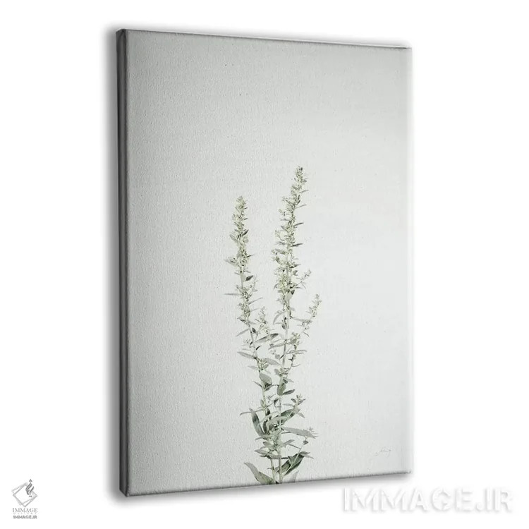 تابلو مدرن ساقه های ساده چهارم اثر فلیسیتی بردلی - نمای پرسپکتیو محصول