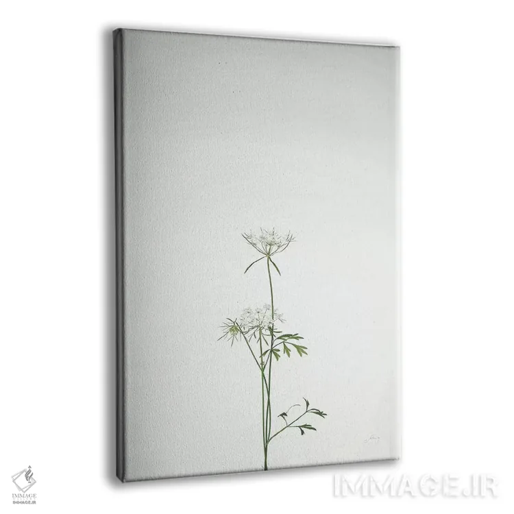 تابلو مدرن ساقه های ساده ششم اثر فلیسیتی بردلی - نمای پرسپکتیو محصول