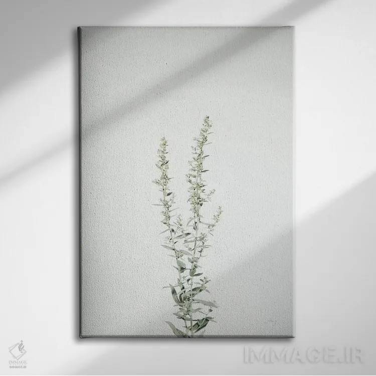 تابلو مدرن ساقه های ساده چهارم اثر فلیسیتی بردلی - نمای روبهرو روی دیوار