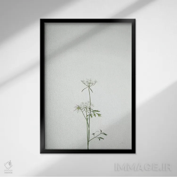 تابلو مدرن ساقه های ساده ششم اثر فلیسیتی بردلی - نمای قابدار مشکی