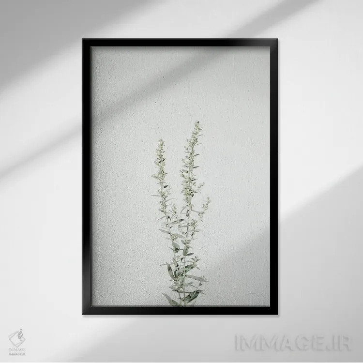 تابلو مدرن ساقه های ساده چهارم اثر فلیسیتی بردلی - نمای قابدار مشکی