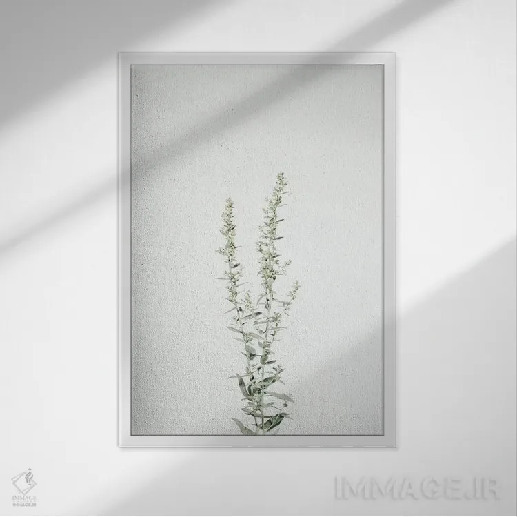 تابلو مدرن ساقه های ساده چهارم اثر فلیسیتی بردلی - نمای قابدار سفید