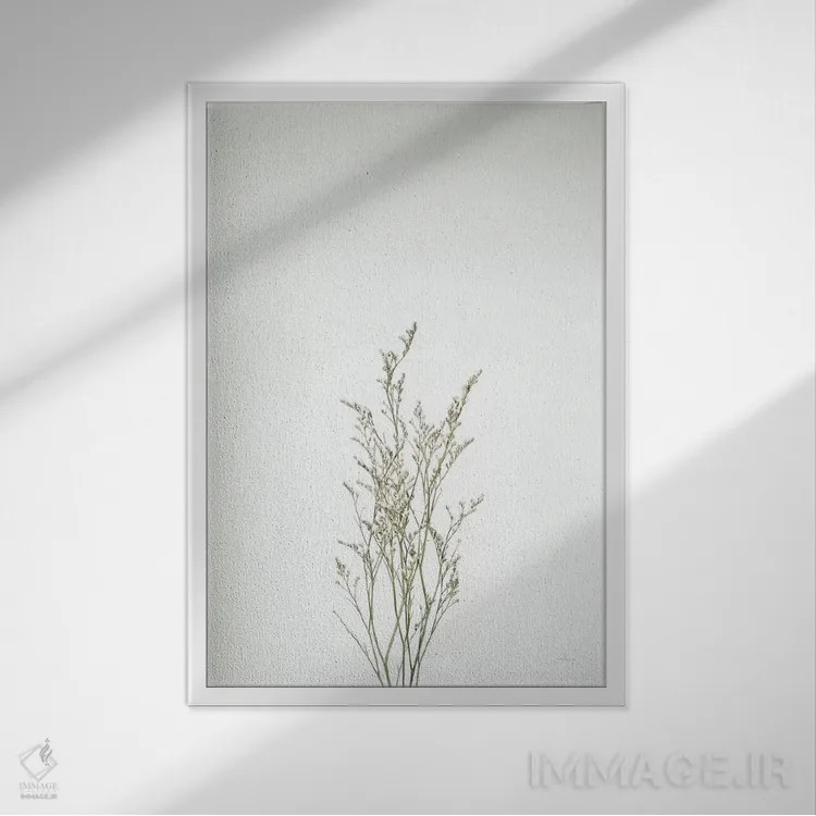 تابلو مدرن ساقه های ساده پنجم اثر فلیسیتی بردلی - نمای قابدار سفید