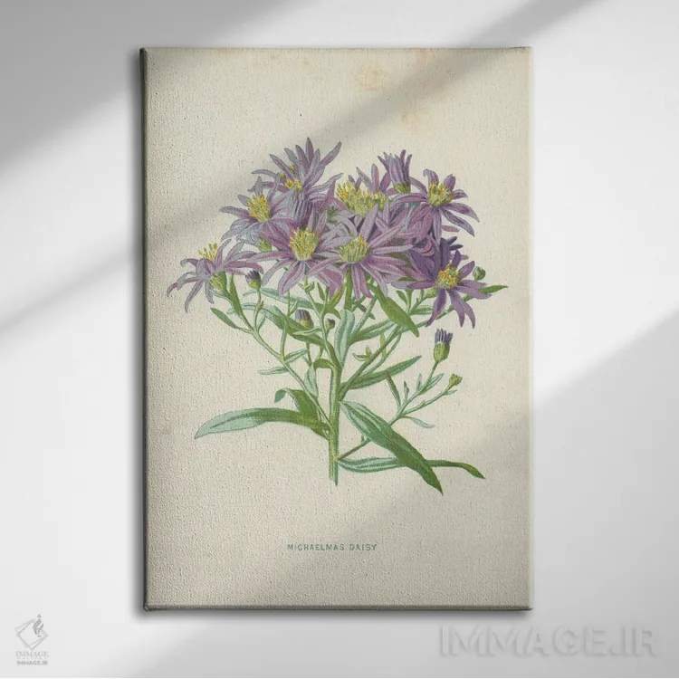 تابلو کلاسیک میکالمس دیزی اثر فردریک ادوارد هولم - نمای روبهرو روی دیوار