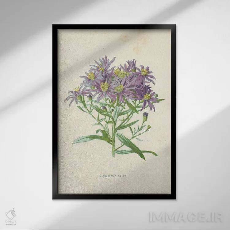 تابلو کلاسیک میکالمس دیزی اثر فردریک ادوارد هولم - نمای قابدار مشکی