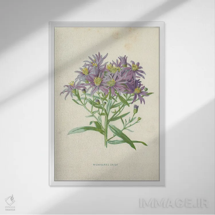 تابلو کلاسیک میکالمس دیزی اثر فردریک ادوارد هولم - نمای قابدار سفید