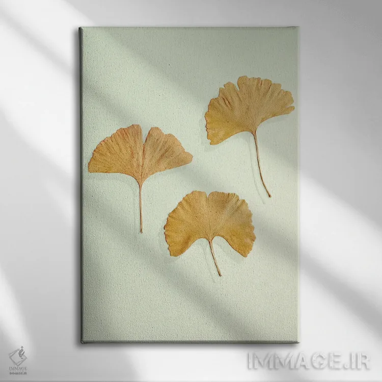 تابلو مینیمال سه تایی برگ جینکوی طلایی اثر آلیسون فنل - نمای روبهرو روی دیوار