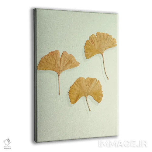 تابلو مینیمال سه تایی برگ جینکوی طلایی اثر آلیسون فنل - نمای پرسپکتیو محصول