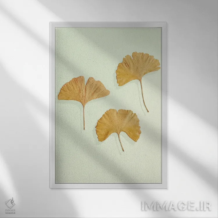 تابلو مینیمال سه تایی برگ جینکوی طلایی اثر آلیسون فنل - نمای قابدار سفید