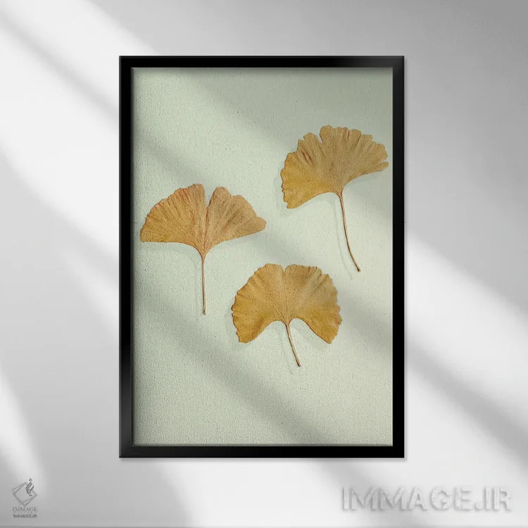 تابلو مینیمال سه تایی برگ جینکوی طلایی اثر آلیسون فنل - نمای قابدار مشکی