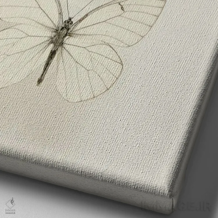 تابلو مینیمال سه پروانه سفید اثر آلیسون فنل - نمای نزدیک بافت بوم