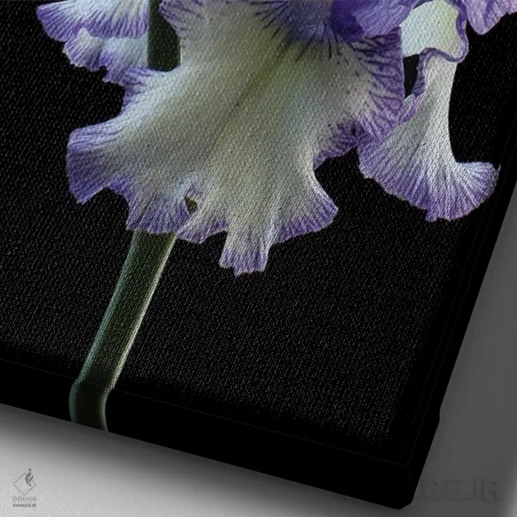 تابلو دکوراتیو ایریس حلقه حلقه اثر آلیسون فنل - نمای نزدیک بافت بوم